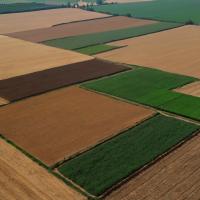 Исключение из Перечня особо ценных продуктивных сельскохозяйственных угодий